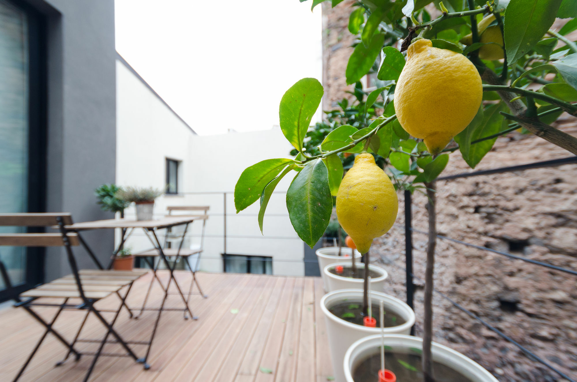 Pietranera Apartments Catania Exterior photo